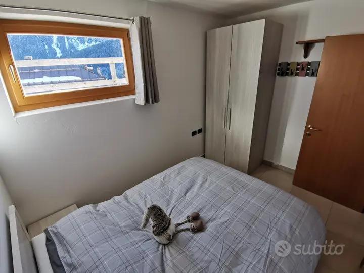 Spazioso Trilocale Sulle Piste Da Sci Folgarida Buitenkant foto